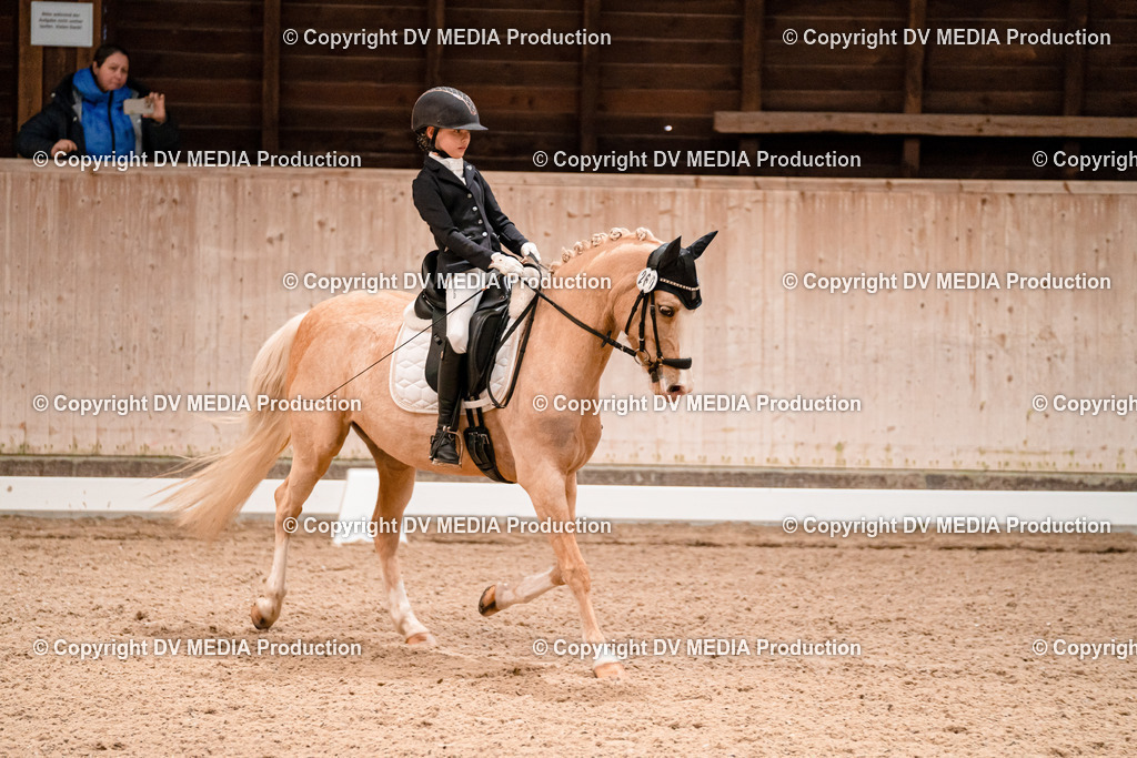 Dressur Tag 1 -392 | dv-media-shop - Realisiert mit Pictrs.com