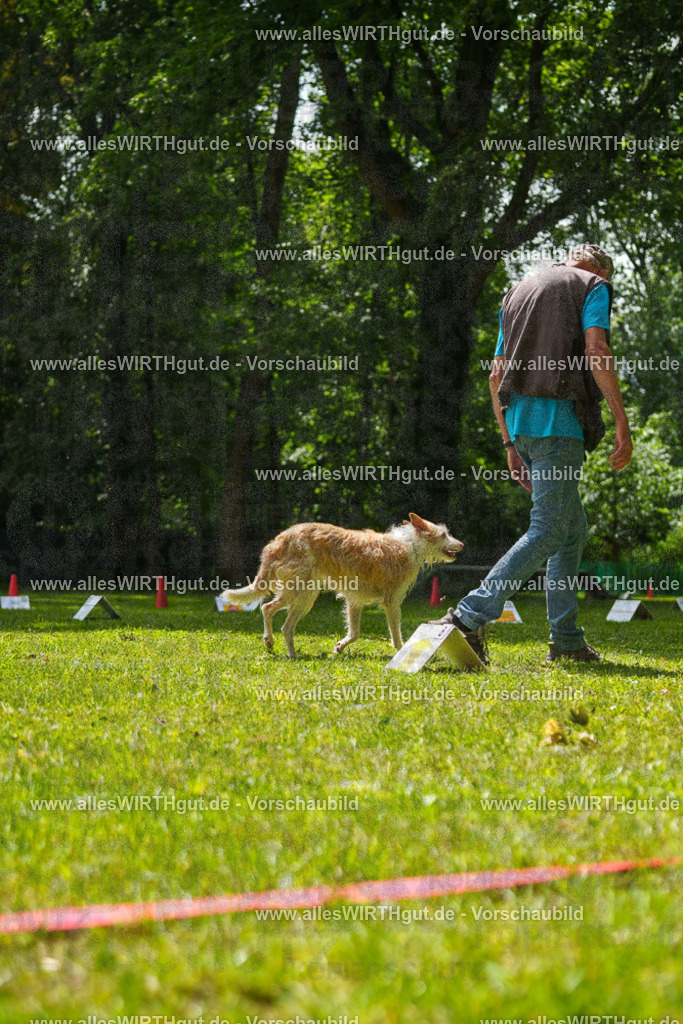 @allesWIRTHgut_Tierfotografie - www.allesWIRTHgut.de - 7R505561 | Professionelle Tierfotografie in Mönchengladbach von Daniel Wirth (allesWIRTHgut). Liebevolle & natürliche Bilder von Hunden & Katzen für unvergessliche Erinnerungen.