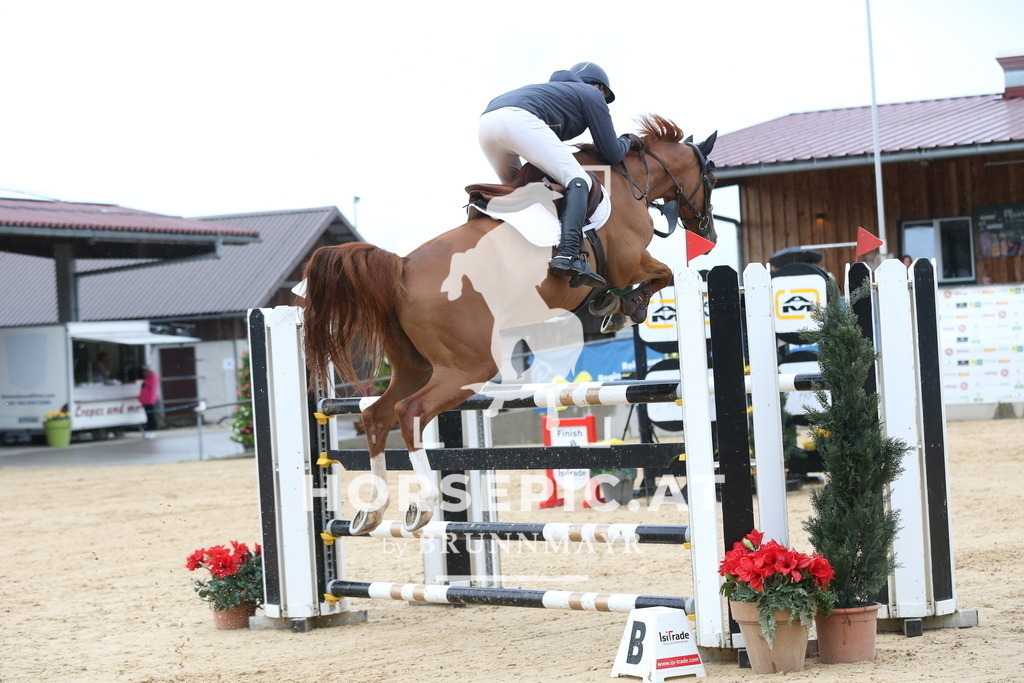 DL2Q6547 | Willkommen bei Brunnmayr - Design & Fotografie – Ihrem Spezialisten für Reitturniere und Pferdeveranstaltungen in Oberösterreich, Salzburg und Bayern! Seit über 17 Jahren sind wir leidenschaftlich dabei.