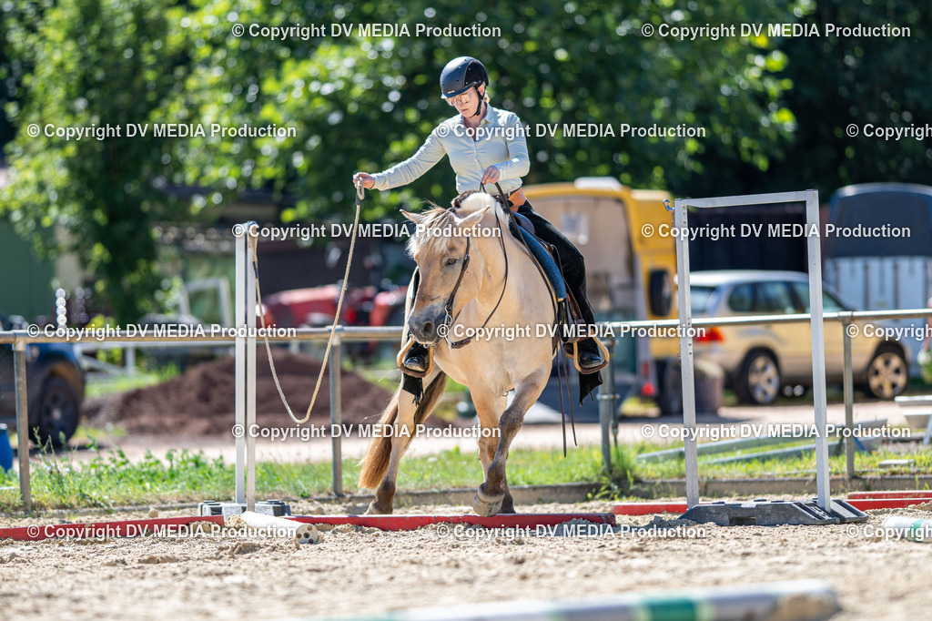 LM Heiligenwald Tag 1-691 | dv-media-shop - Realisiert mit Pictrs.com