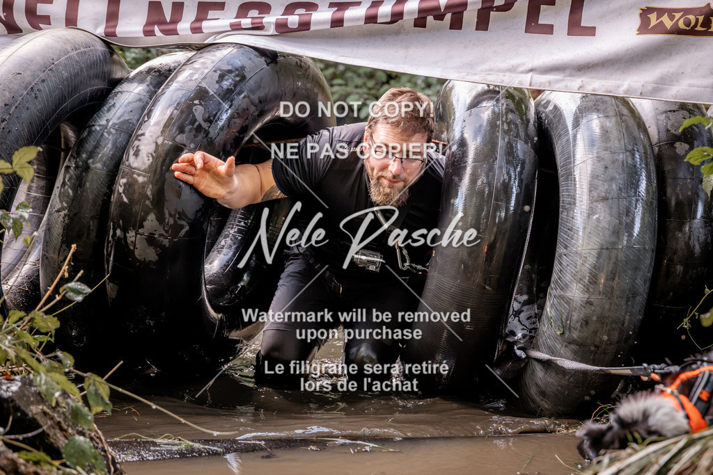 nelerasche_Hunsrück2026_Sa1400-1500_189 | nelerasche