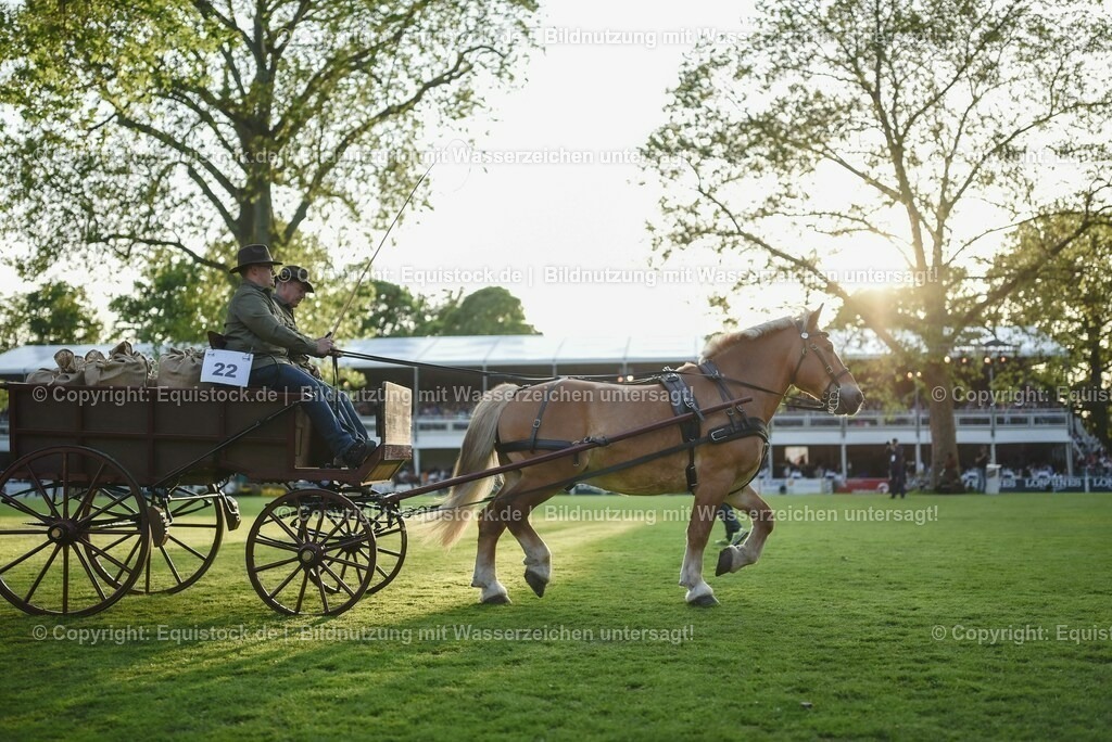 20230526_Pferdenacht_0100 | equistock