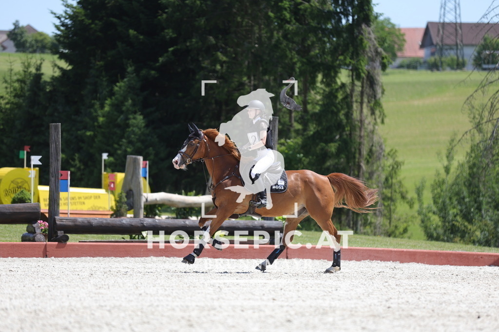 0P6A4070 | Willkommen bei Brunnmayr - Design & Fotografie – Ihrem Spezialisten für Reitturniere und Pferdeveranstaltungen in Oberösterreich, Salzburg und Bayern! Seit über 17 Jahren sind wir leidenschaftlich dabei.