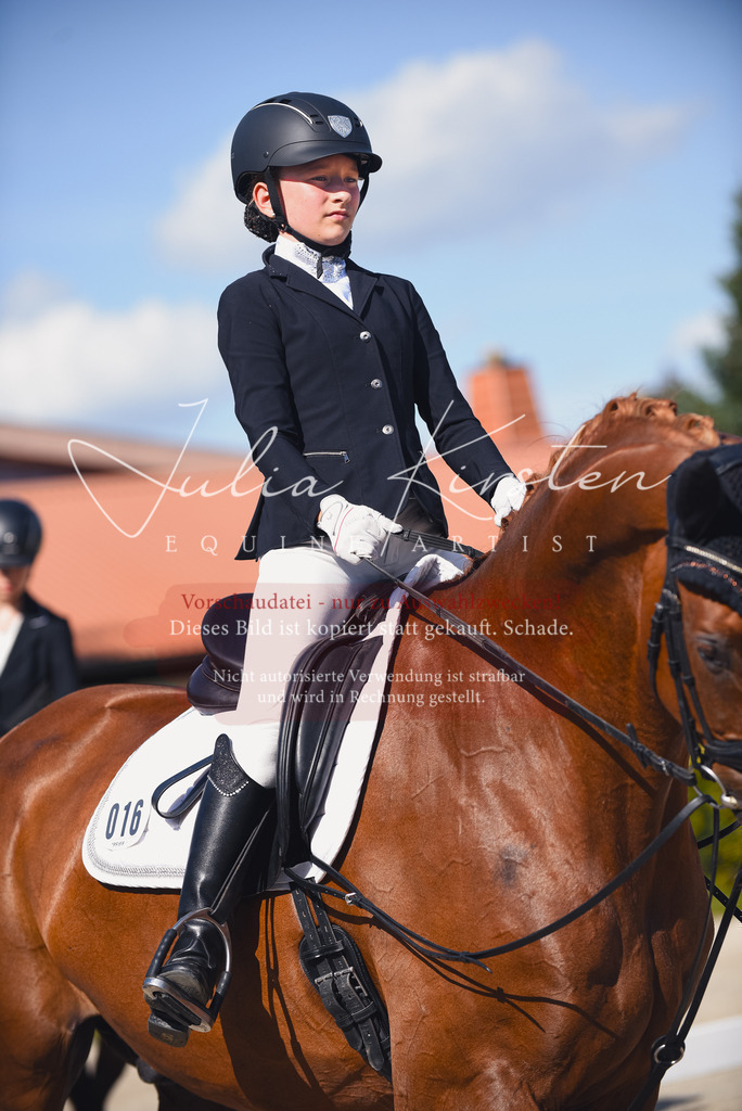 DSC_0048 | Pferde- und Turnierfotografie in Westsachsen. Pferdeportraits, Auftragszeichnungen und intuitive Kunst.