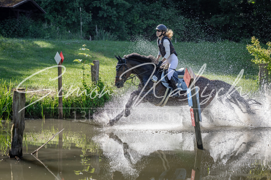 20260523-_3LI6321 | Tierfotografie Pferde, Hunde, Katzen, Haustiere.
Turnierfotografie Reitturniere, Reiten, Springreiten, Dressur in Hanau, dem Main-Kinzig-Kreis und dem Rhein-Main- Gebiet um Frankfurt