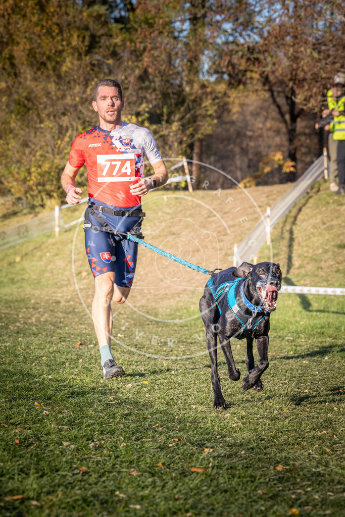 CaniXpix_0L8A0082 | Hundefotografie, Tierfotograf, Pfotenfotografie, Fotoshooting Hund, Hunde Portrait, Hundesport, Hundeportraits, Heideshooting, Hunde, Sportfotograf, Hundefotograf, Turnierhundsport, THS,  - Realisiert mit Pictrs.com