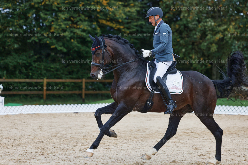 8_2-102-DRESSUR S_  -StoibPH-4457 | working equitationturnier fotograf videograf stoibphotography marixx film working equitation deutschland reitsport turnierfotografie eventfotografie equestrian events