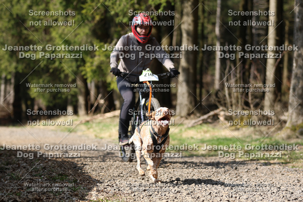 Dog Paparazzi - VCC26-229 | Dog Paparazzi Jeanette Grottendiek Fotografie & Videografie - Realisiert mit Pictrs.com