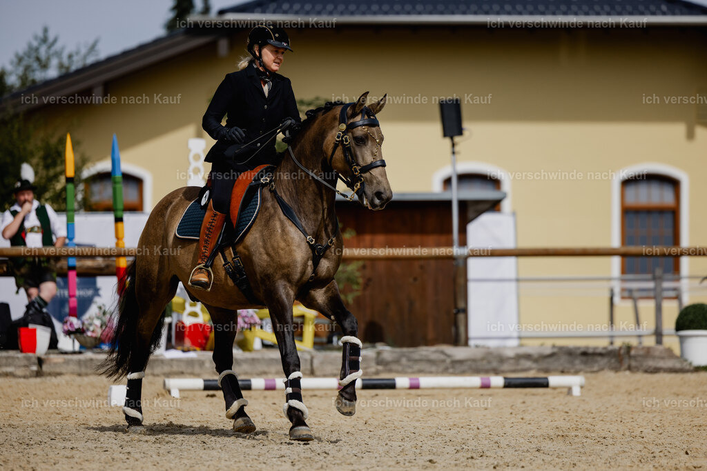 Katja7_FHC2025-20225 | working equitationturnier fotograf videograf stoibphotography marixx film working equitation deutschland reitsport turnierfotografie eventfotografie equestrian events