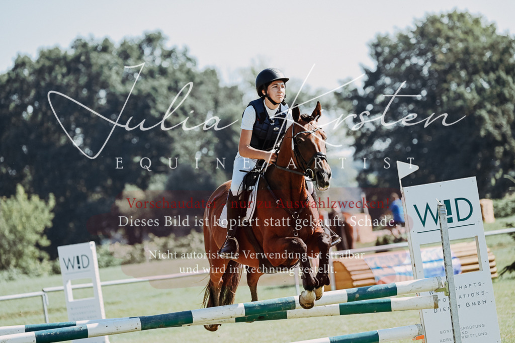 DSC_5422 | Pferde- und Turnierfotografie in Westsachsen. Pferdeportraits, Auftragszeichnungen und intuitive Kunst.