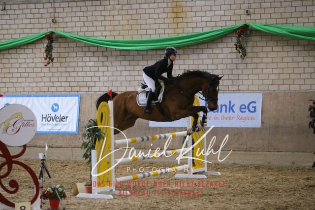 IMG_0683 | Turnierfotos kaufen im Webshop von Daniel Kuhl Photography – entdecke professionelle Reitsportfotos aus Turnieren & Events. Hochwertige Turnierbilder online bestellen & sichern. Jetzt Fotos von Reitsportturnieren kaufen!