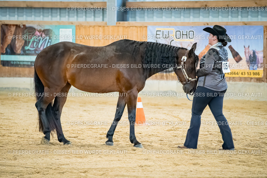 DSC09862 | Pferdegrafie