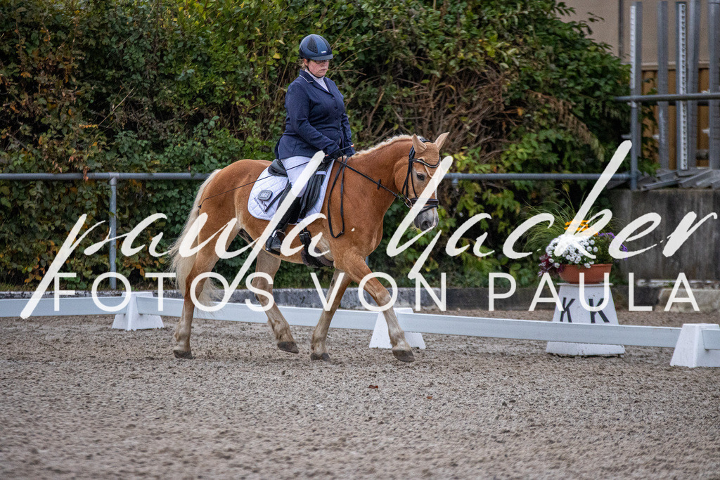 IMG_2405 | Erleben Sie dynamische Sport- und emotionale Tierfotografie in Süddeutschland mit Fotos von Paula. Spezialisiert auf Pferde- und Hundefotografie sowie Sportevents. Kontaktieren Sie mich für einzigartige und ausdrucksstarke Bilder Ihrer besonderen Momente.