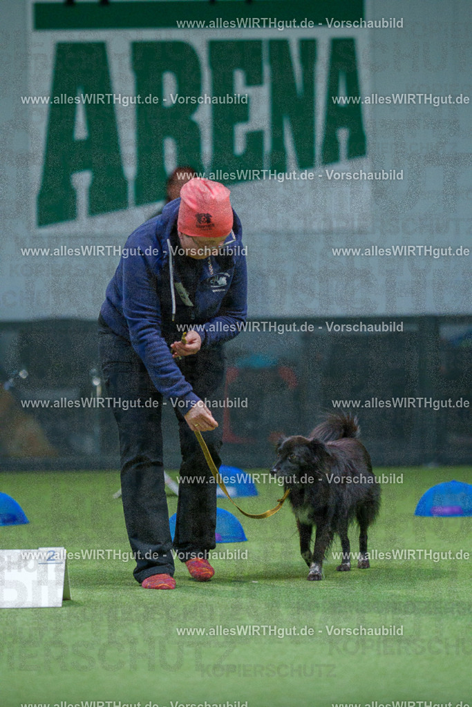 7R501107 | Professionelle Tierfotografie in Mönchengladbach von Daniel Wirth (allesWIRTHgut). Liebevolle & natürliche Bilder von Hunden & Katzen für unvergessliche Erinnerungen.