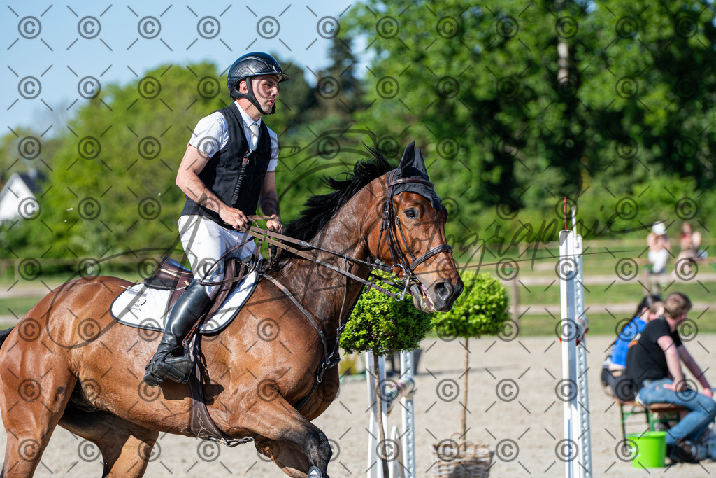 KPT_1887 | andre_photographic