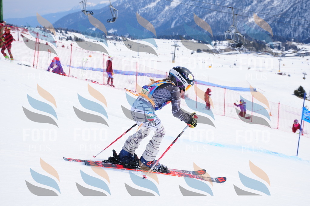 DSC_2441 | holidayphoto