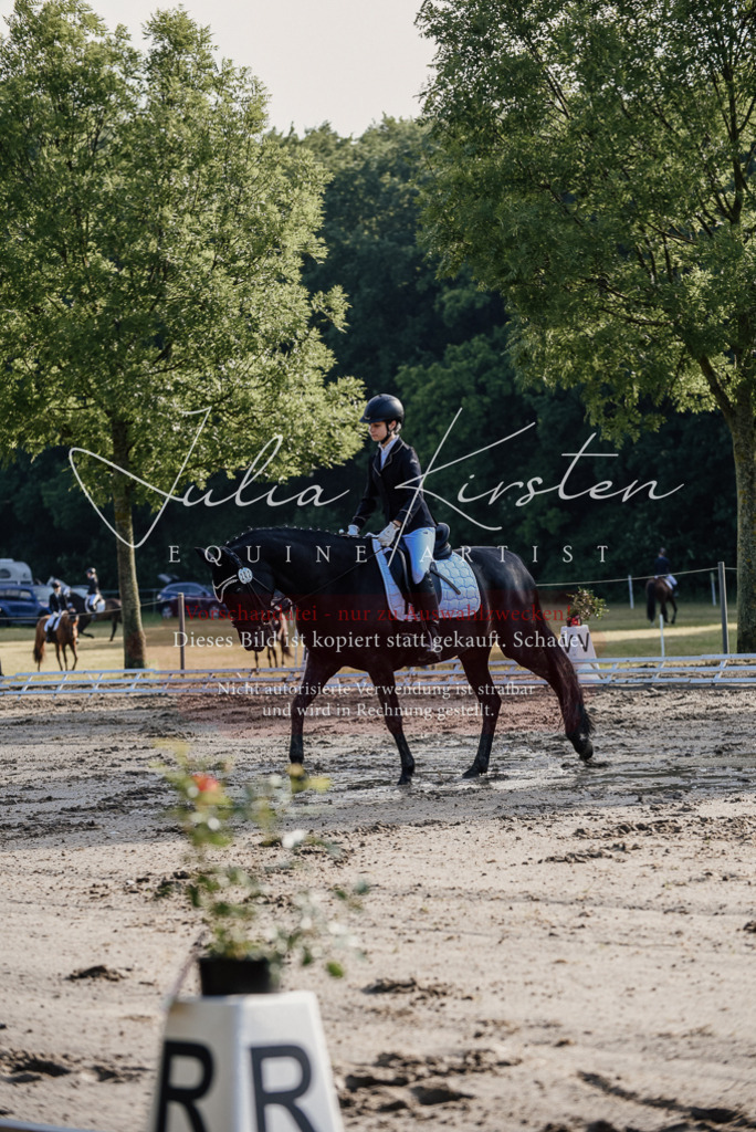 DSC_7781 | Pferde- und Turnierfotografie in Westsachsen. Pferdeportraits, Auftragszeichnungen und intuitive Kunst.