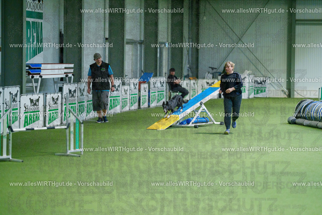 @allesWIRTHgut_Tierfotografie - www.allesWIRTHgut.de - 2604250813-7R505807 | Professionelle Tierfotografie in Mönchengladbach von Daniel Wirth (allesWIRTHgut). Liebevolle & natürliche Bilder von Hunden & Katzen für unvergessliche Erinnerungen.