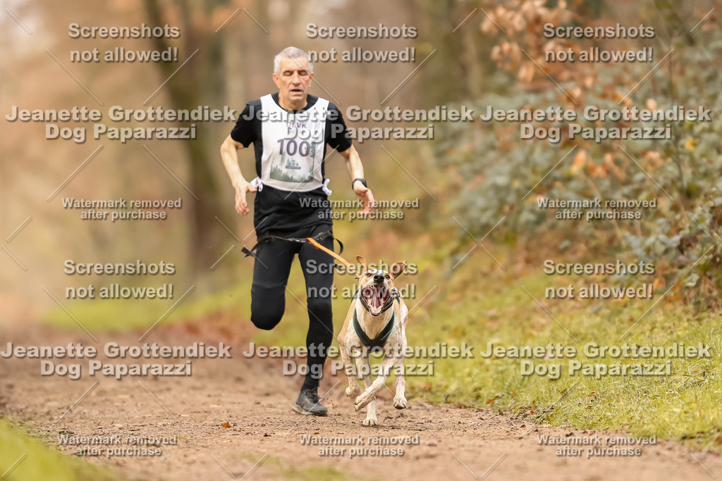 Dog Paparazzi - Speedhunter Mannheim  2025-309 | Dog Paparazzi Jeanette Grottendiek Fotografie & Videografie