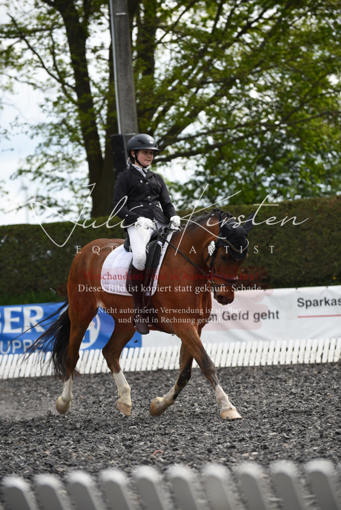 20230513_JK-Röhrsdorf-16-201 | Pferde- und Turnierfotografie in Westsachsen. Pferdeportraits, Auftragszeichnungen und intuitive Kunst.