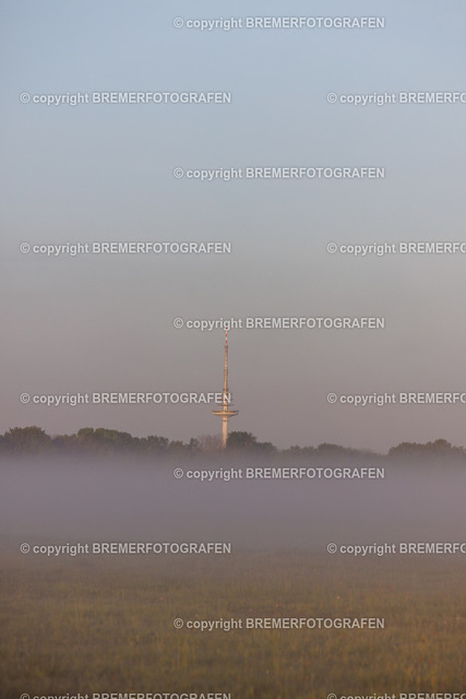 1H0A1976 | Eine Hommage an Bremen. Einzigartige Fotografien und Drohnenaufnahmen von Bremer Fotografen zum Staunen und auch zum Kaufen.