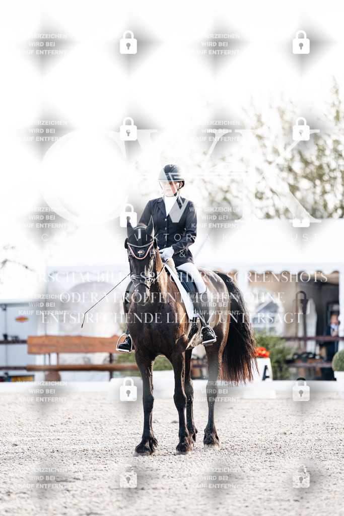 CK900270 | Turnierfotografie Pferdefotografie Trier Rheinland-Pfalz Pferdesport Reitsport Tierfotografie Sportfotografie Pferdevideo Pferdevideografie Equestrianvideography equestrianphotography  - Realisiert mit Pictrs.com