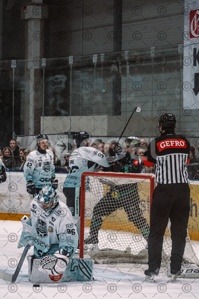Alligators_vs_Lindau_20_02_2026-13 | Höchstadt Alligators Fotogalerie: Eishockey-Action aus Franken. Professionelle Spielfotos, Portraits & Stadionbilder zum Download. Jetzt entdecken! - Realisiert mit Pictrs.com
