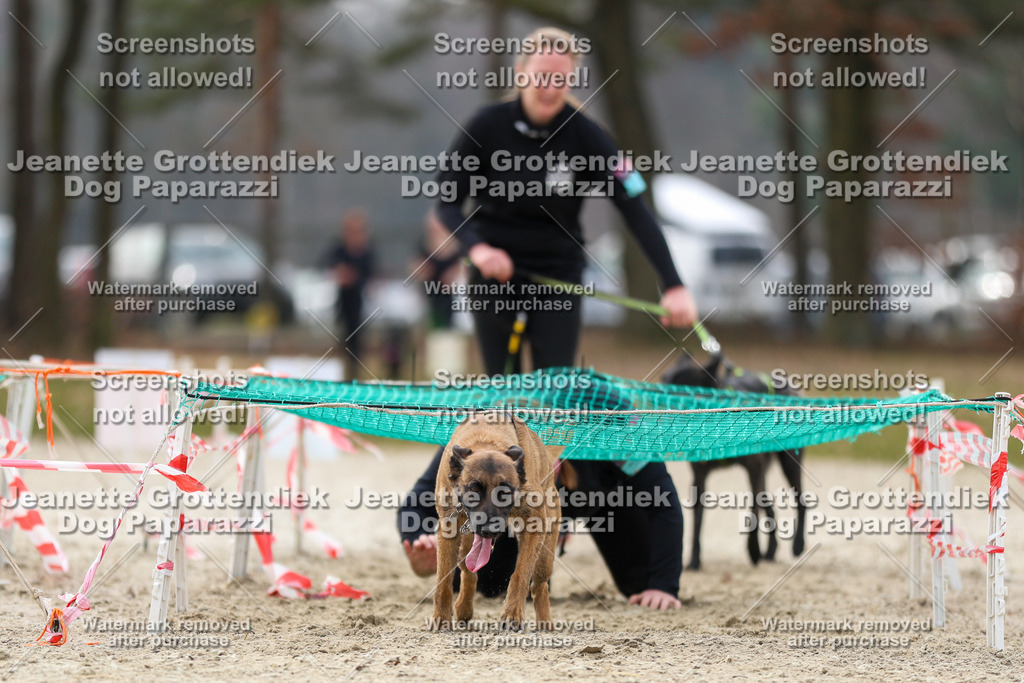 Dog Paparazzi - Strongdog North Mrz26-5646 | Dog Paparazzi Jeanette Grottendiek Fotografie & Videografie - Realisiert mit Pictrs.com