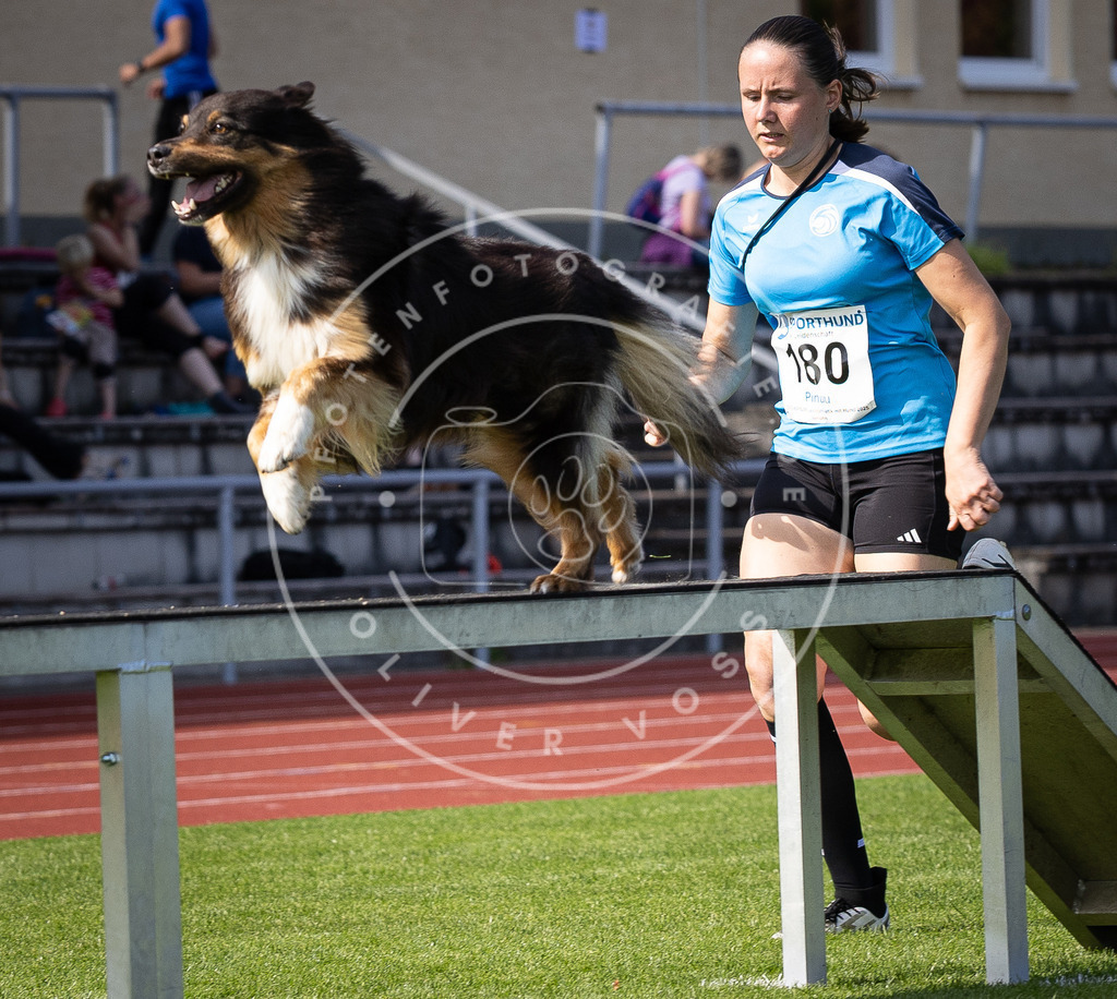 Pfotenfotografie_DV3A0258 | Hundefotografie, Tierfotograf, Pfotenfotografie, Fotoshooting Hund, Hunde Portrait, Hundesport, Hundeportraits, Heideshooting, Hunde, Sportfotograf, Hundefotograf, Turnierhundsport, THS,  - Realisiert mit Pictrs.com