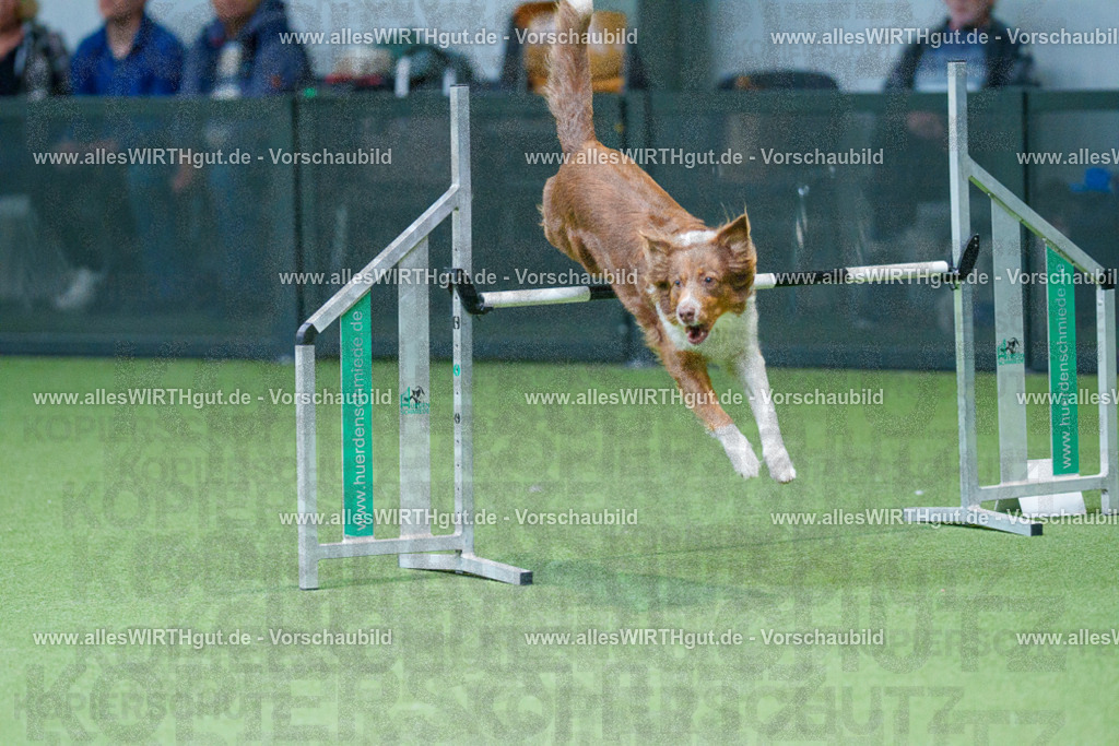 @allesWIRTHgut_Tierfotografie - www.allesWIRTHgut.de - 2604251057-7R500677 | Professionelle Tierfotografie in Mönchengladbach von Daniel Wirth (allesWIRTHgut). Liebevolle & natürliche Bilder von Hunden & Katzen für unvergessliche Erinnerungen.