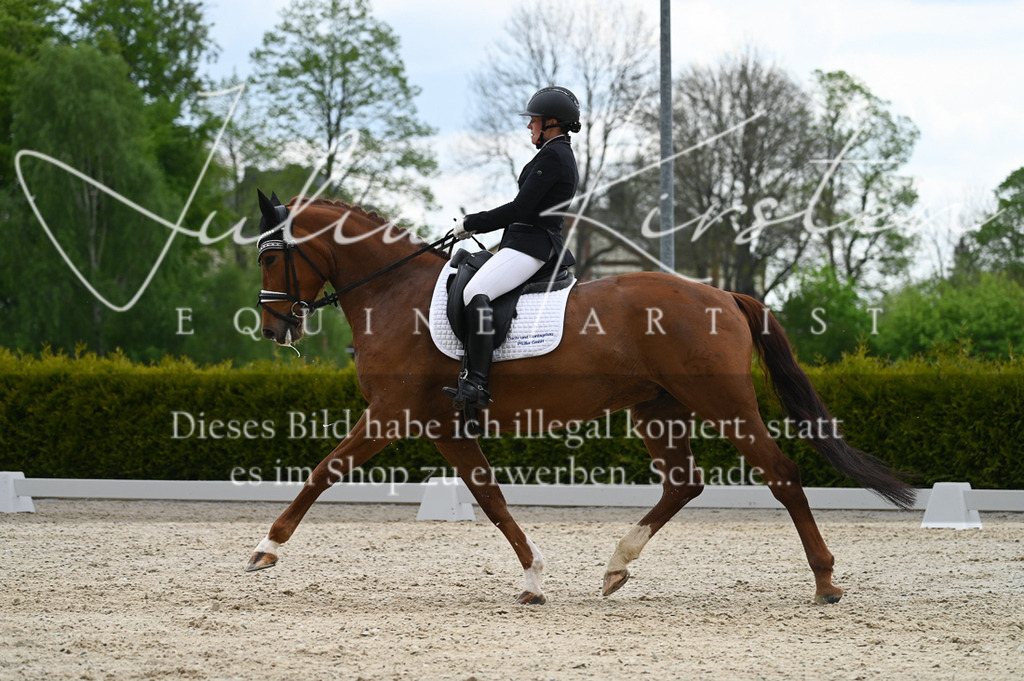 20230512_JK-Röhrsdorf-03-093 | Pferde- und Turnierfotografie in Westsachsen. Pferdeportraits, Auftragszeichnungen und intuitive Kunst.