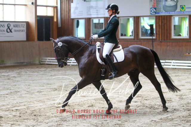 DKP44664 | Turniersportfotografie; Pferdefotografie; Dressurfotografie