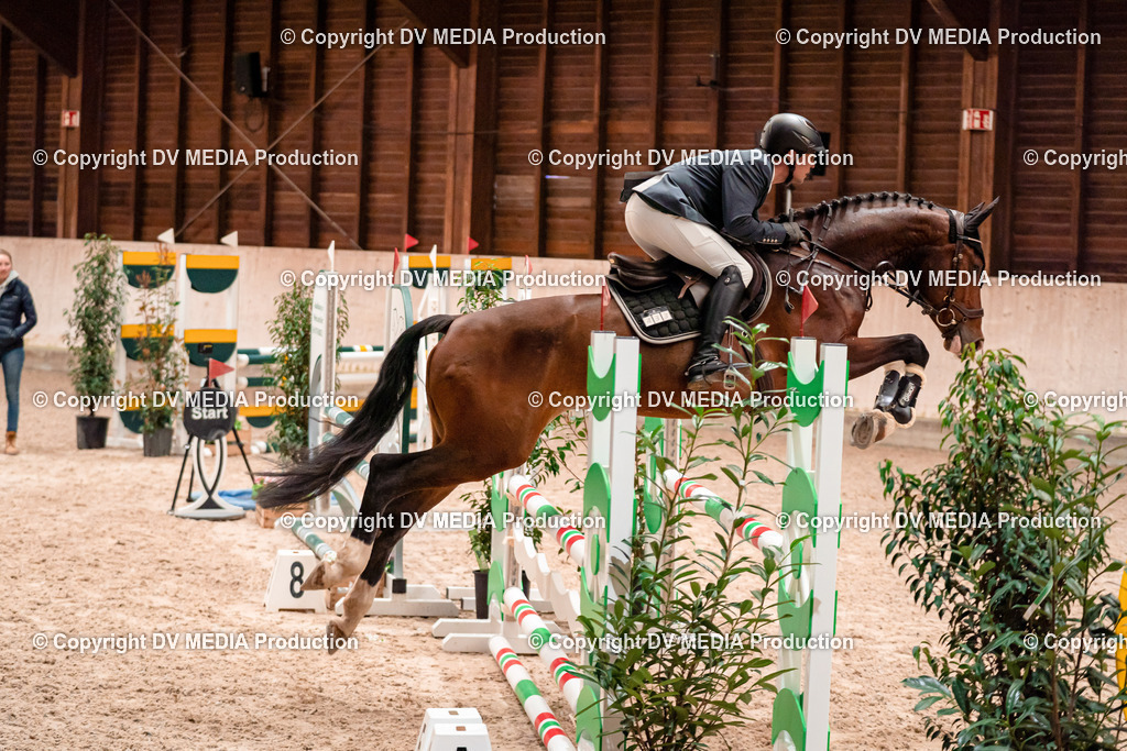 Springen Tag 1-21 | dv-media-shop - Realisiert mit Pictrs.com