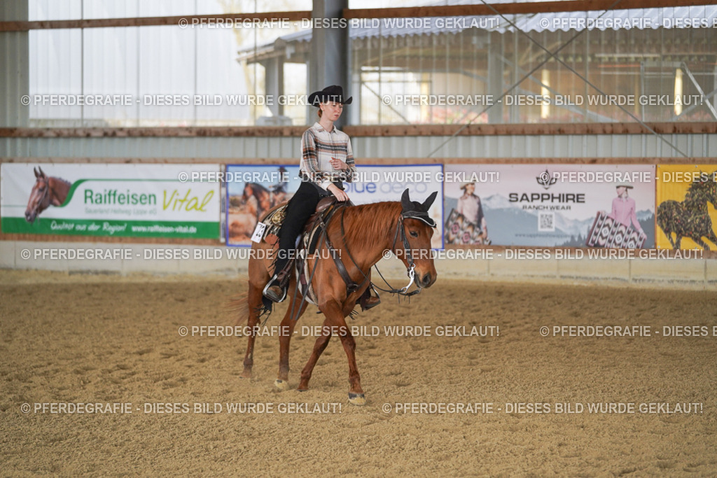 DSC00047 | Pferdegrafie