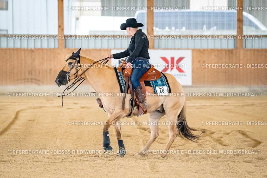 DSC08399 | Pferdegrafie