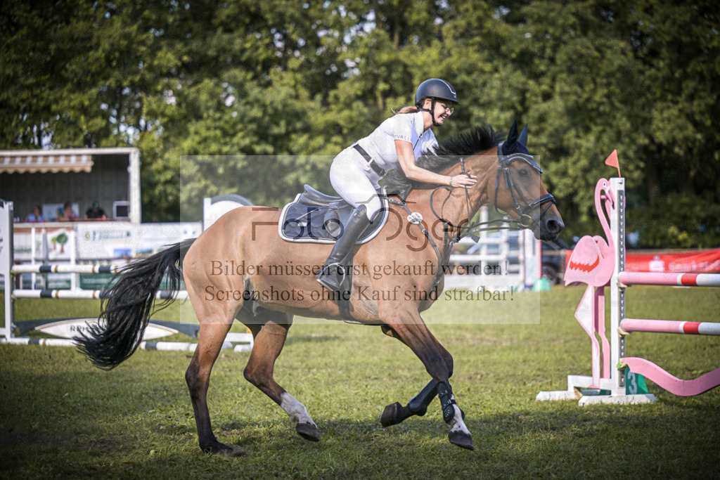 DOS_0959 | Entdecke hochwertige Reitturnierfotos von Foto Oger. Professionell, emotional und authentisch – jetzt Lieblingsmomente im Shop bestellen. - Realisiert mit Pictrs.com