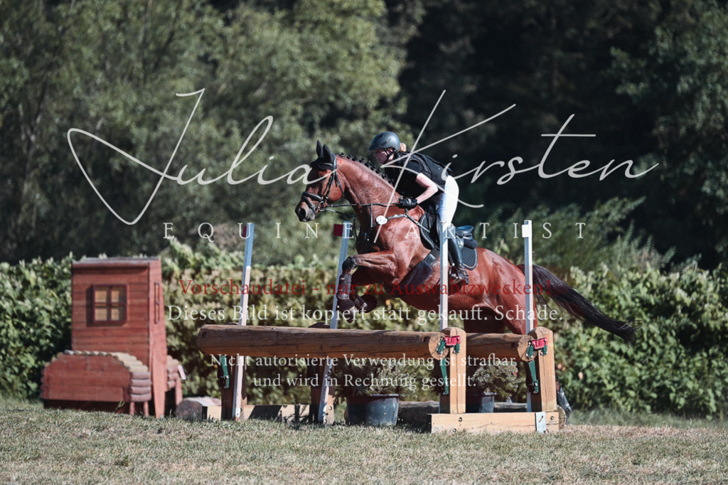 DSC_8771 | Pferde- und Turnierfotografie in Westsachsen. Pferdeportraits, Auftragszeichnungen und intuitive Kunst.