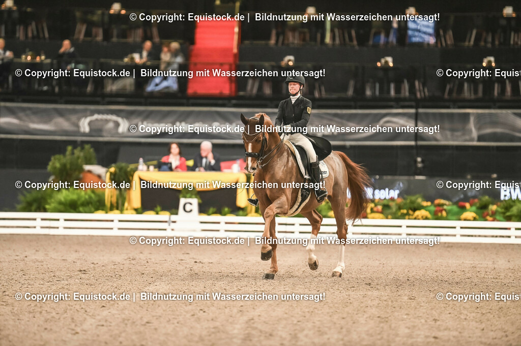 20231115_20_Dressur_Kl-S++_0194_TOMsPiC | Foto: Thomas Hartig