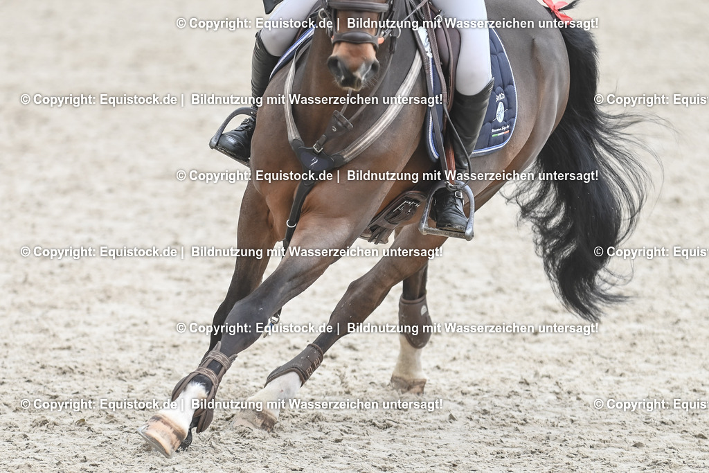 20230514_CCI4_Springen_0112 | equistock