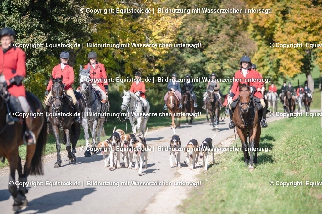 20251011_Jagd-Marbach_0588 | Foto: Thomas Hartig