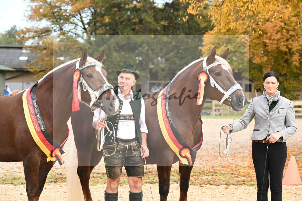 Siegerstuten_Buechl_Bachmair_53222981 | hf-fotografie - Realisiert mit Pictrs.com