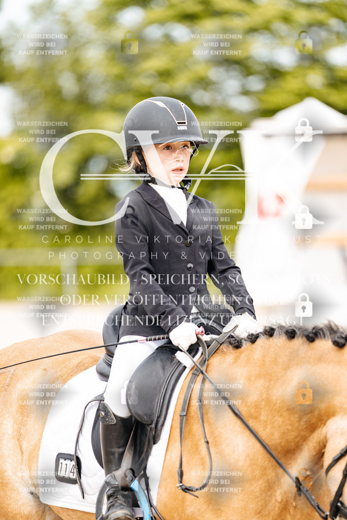 CK904577 | Turnierfotografie Pferdefotografie Trier Rheinland-Pfalz Pferdesport Reitsport Tierfotografie Sportfotografie Pferdevideo Pferdevideografie Equestrianvideography equestrianphotography  - Realisiert mit Pictrs.com