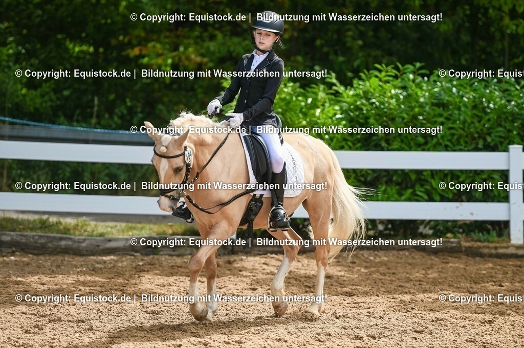 20230716_10-3_Reiter-WB Schritt - Trab - Galopp_0111 | equistock