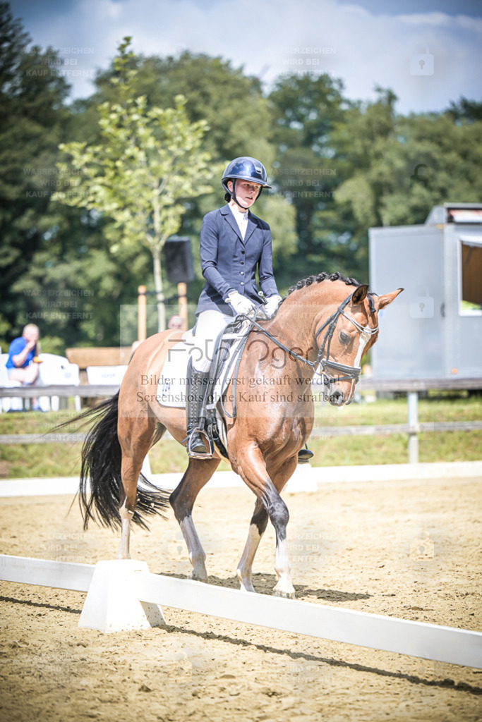 DOS_5566 | Entdecke hochwertige Reitturnierfotos von Foto Oger. Professionell, emotional und authentisch – jetzt Lieblingsmomente im Shop bestellen. - Realisiert mit Pictrs.com