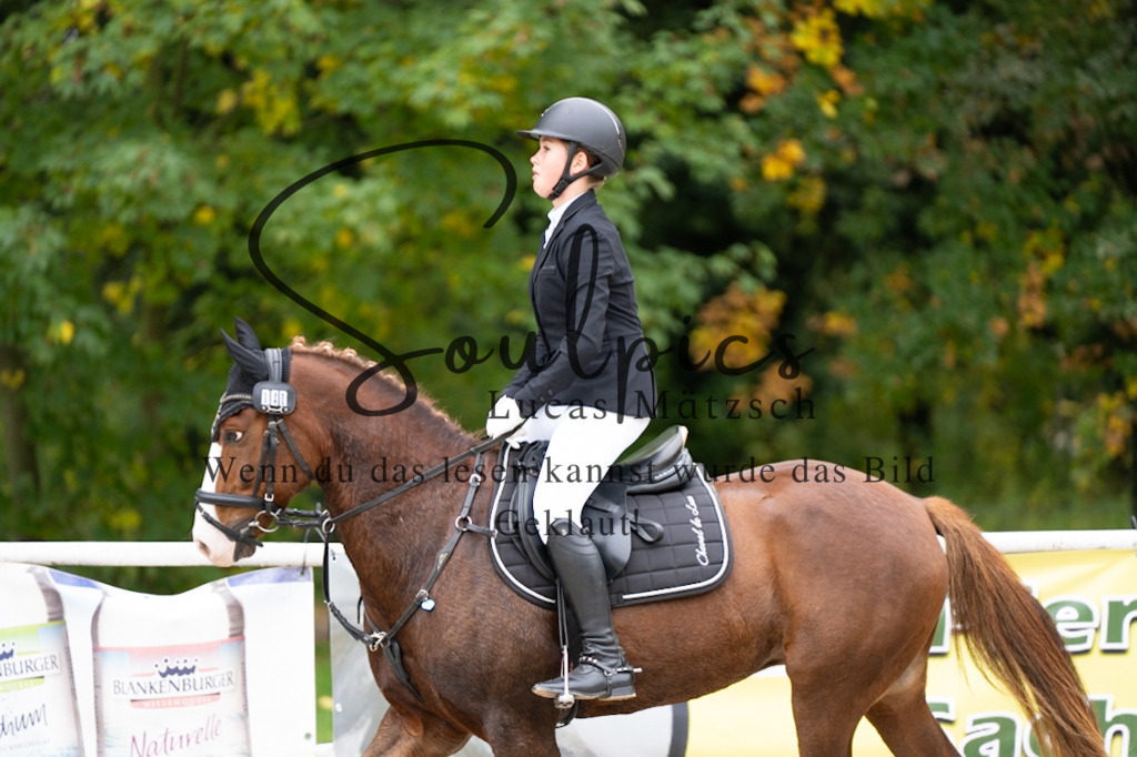 A7V07999 | Pferdefotograf