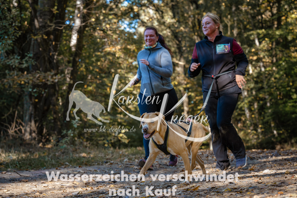 1125_ZZ92390 | kk-dogfotos