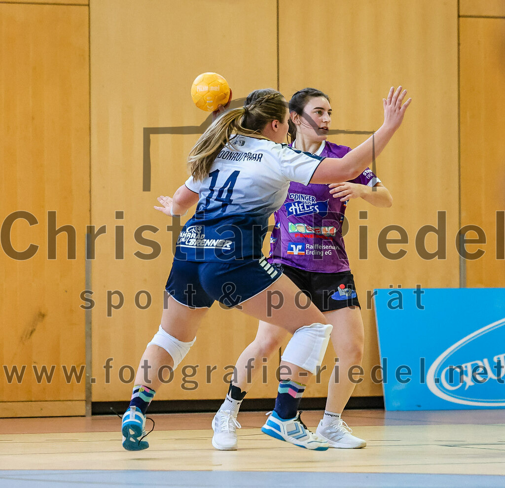 2023-12-16_058_SpVgg_Altenerding_gegen_HC_Donau-Paar_II | Erding, Deutschland, 16.12.2023:
Handball, Bezirksoberliga Frauen Altbayern 2023 / 2024, 10. Spieltag, SpVgg Altenerding gegen HC Donau/Paar II, Endergebnis: 22:22

Foto: Christian Riedel / fotografie-riedel.net