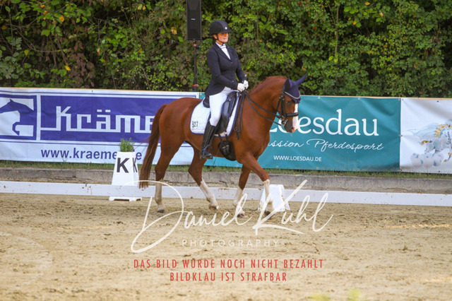 DKP41644 | Turniersportfotografie; Pferdefotografie; Dressurfotografie