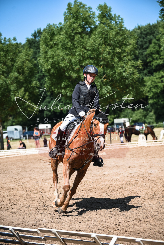 DSC_3288 | Pferde- und Turnierfotografie in Westsachsen. Pferdeportraits, Auftragszeichnungen und intuitive Kunst.