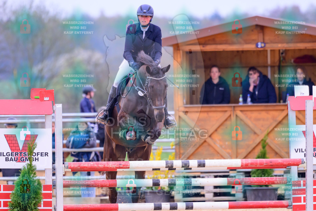 10042026-Mammendorf-Prfg17-0383 | Fokus Hufschlag Fotografie - Realisiert mit Pictrs.com